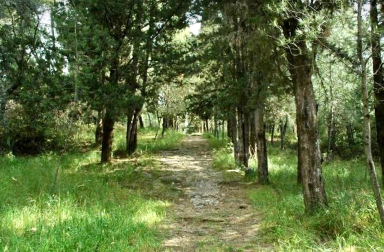 Oikiastudios2 Патра Экстерьер фото